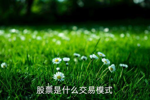 股票是什么交易模式