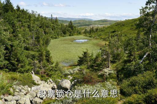 股票锁仓是什么意思