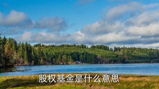 股权基金是什么意思