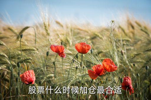 股票什么时候加仓最合适