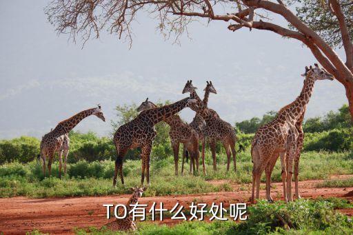 股票t0有什么用，股票T0优势有什么好处
