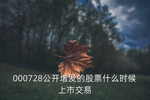 000728公开增发的股票什么时候上市交易