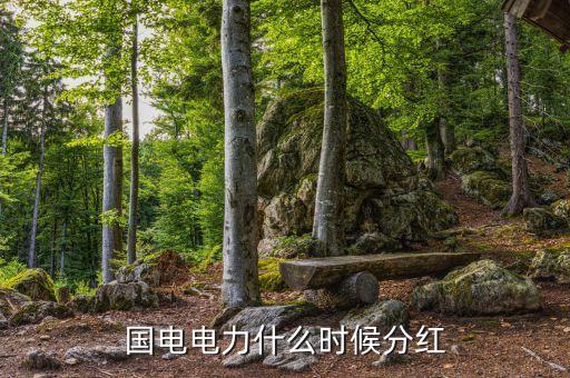 国电电力什么时候分红