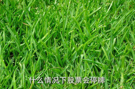 什么情况下股票会停牌