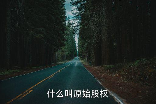 什么叫原始股权