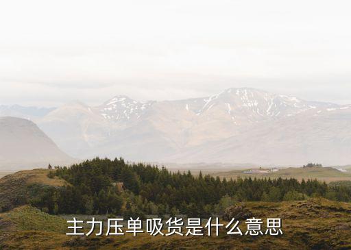主力压单吸货是什么意思