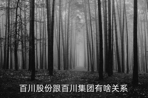 百川股票是作什么的，有谁知道百川是做什么的位于哪里