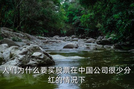 人们为什么要买股票在中国公司很少分红的情况下