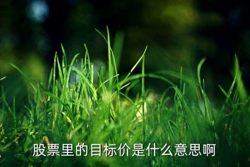 股票里的目标价是什么意思啊