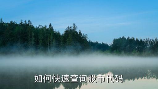 如何快速查询股市代码