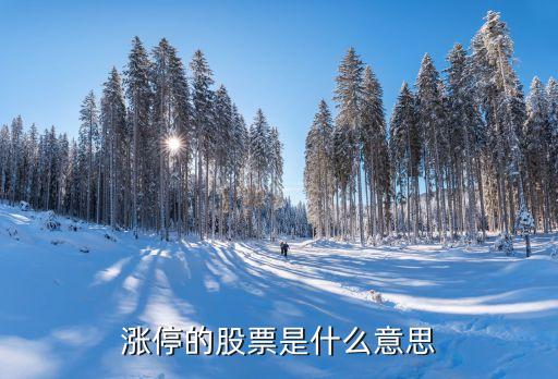 涨停的股票是什么意思