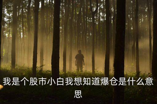 股票中暴仓是什么意思，我是个股市小白我想知道爆仓是什么意思