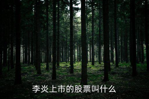 首席经济学家的股票叫什么，李炎上市的股票叫什么