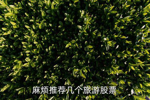 麻烦推荐几个旅游股票