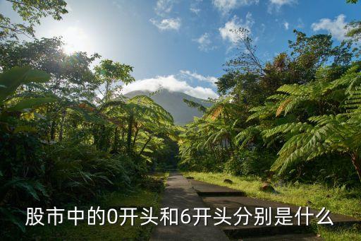 股市中的0开头和6开头分别是什么