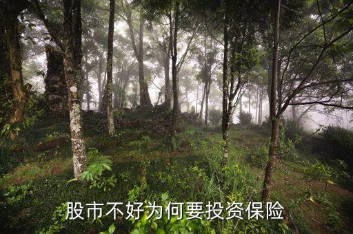 股市不好为何要投资保险