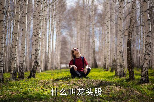 股票龙头股有什么区别啊，什么叫龙头股
