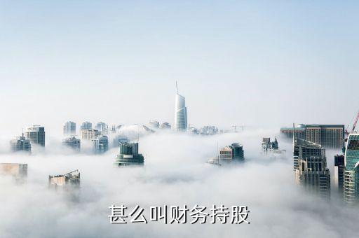 甚么叫财务持股