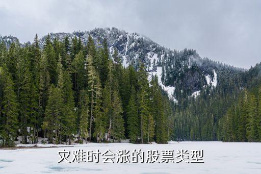 疫情时什么股票涨的多赚钱，牛市中什么股票涨得最快