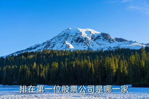 排在第一位股票公司是哪一家