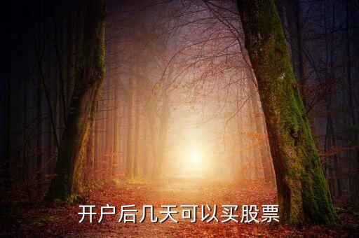 开户后几天可以买股票