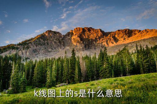 股票线出现s什么意思啊，k线图上的s是什么意思