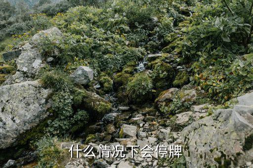 股票什么情况下会停牌交易，在哪些情况下股票会停牌
