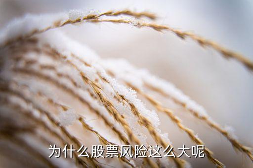 为什么股票风险这么大呢