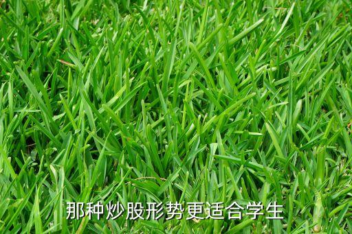 那种炒股形势更适合学生