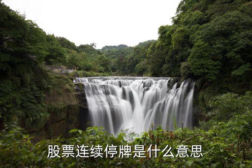 股票连续停牌是什么意思