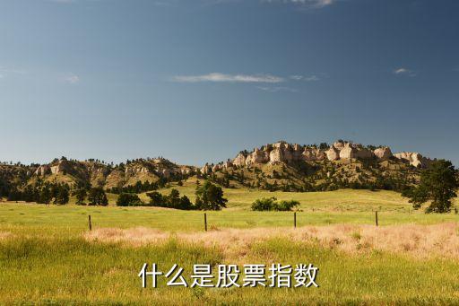 什么是股票指数