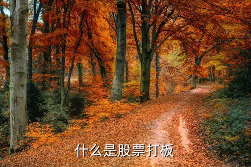 股票里打板是什么意思，股票中说的打板是什么意思