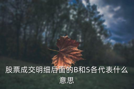 股票成交明细后面的B和S各代表什么意思