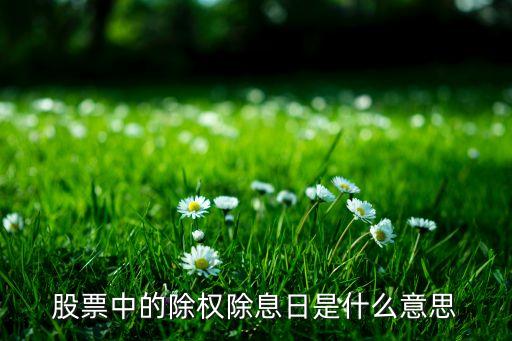 什么叫股票除权除息日股，什么叫除权除息日