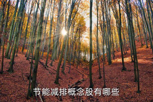 节能减排概念股有哪些
