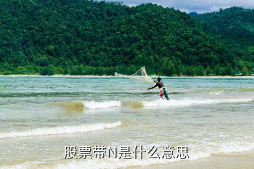 股票带N是什么意思
