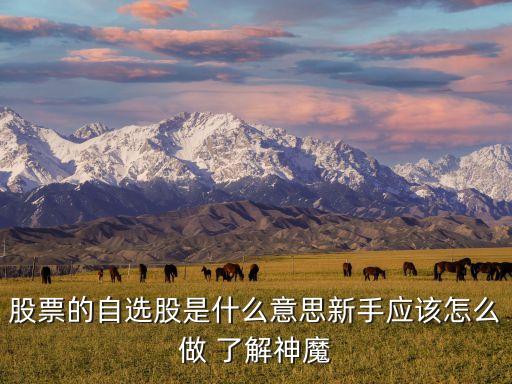 股票的自选股是什么意思新手应该怎么做 了解神魔