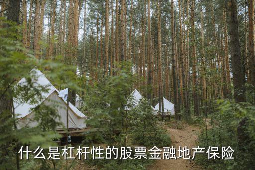 什么是金融数字化转型股票，EUZ是什么