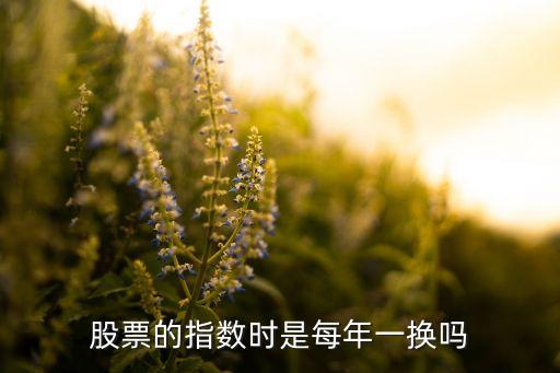 股票的指数时是每年一换吗