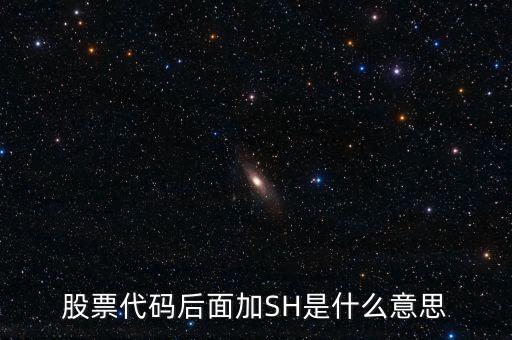 股票代码后面加SH是什么意思