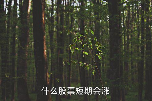 什么股票短期会涨