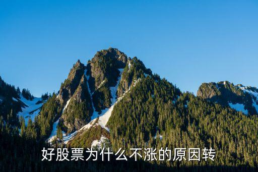 好股票为什么不涨的原因转