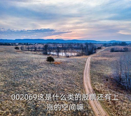 002069这是什么类的股票还有上涨的空间嘛