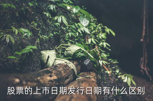 什么是股票上市日期怎么看，如何查询新股上市时间