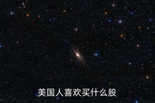 美国人喜欢买什么股
