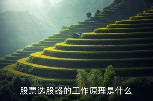 金太阳股票是干什么的，股票选股器的工作原理是什么