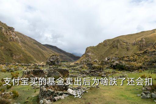 支付宝买的基金卖出后为啥跌了还会扣钱