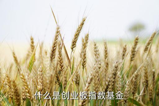 什么是创业板指数基金
