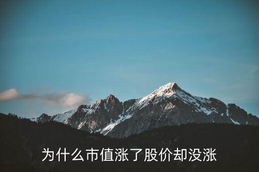 为什么市值涨了股价却没涨