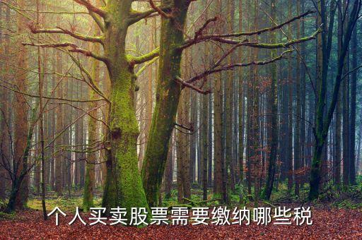 个人买卖股票需要缴纳哪些税